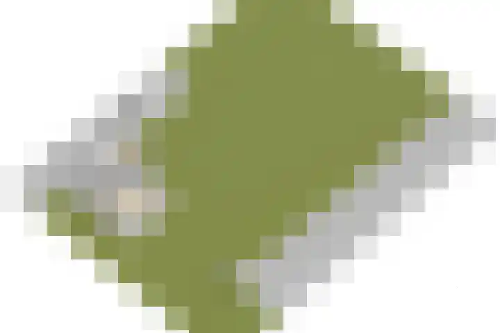 Johannes Durksloane 2 Damwâld thumbnail 130