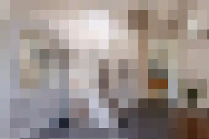 Johannes Durksloane 2 Damwâld thumbnail 14