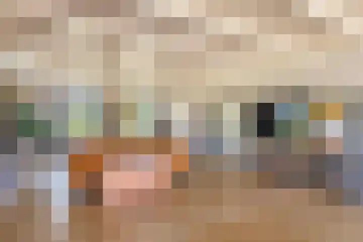 Johannes Durksloane 2 Damwâld thumbnail 15