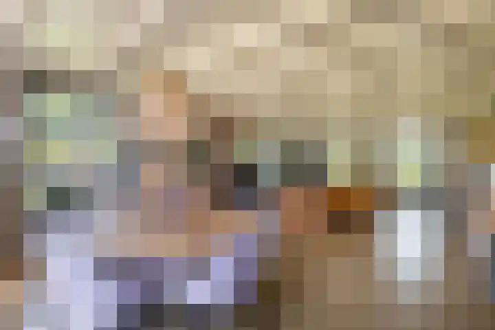 Johannes Durksloane 2 Damwâld thumbnail 17