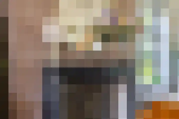 Johannes Durksloane 2 Damwâld thumbnail 18