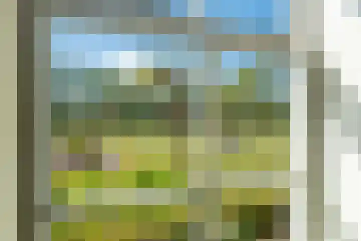 Johannes Durksloane 2 Damwâld thumbnail 19