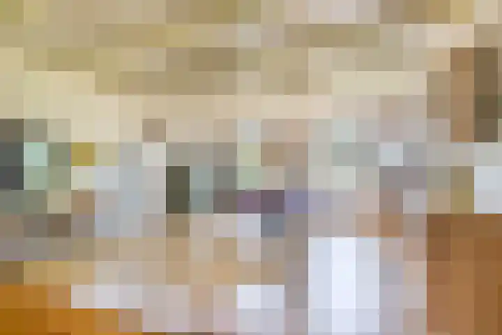 Johannes Durksloane 2 Damwâld thumbnail 21