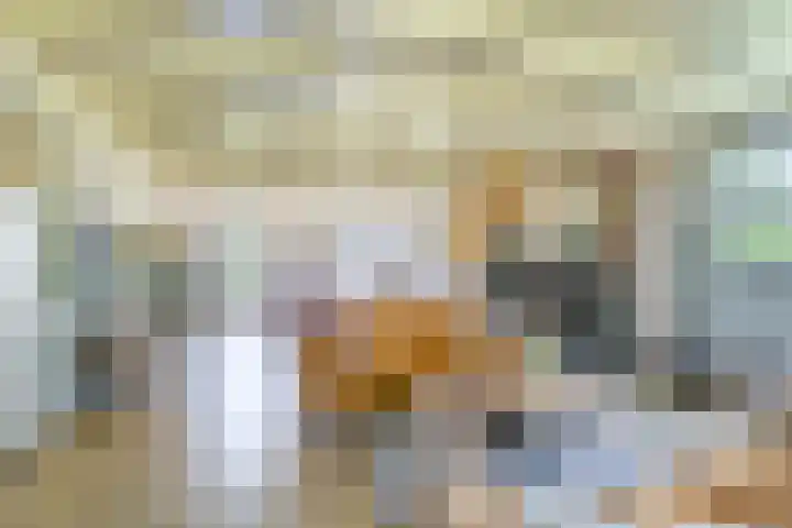 Johannes Durksloane 2 Damwâld thumbnail 22