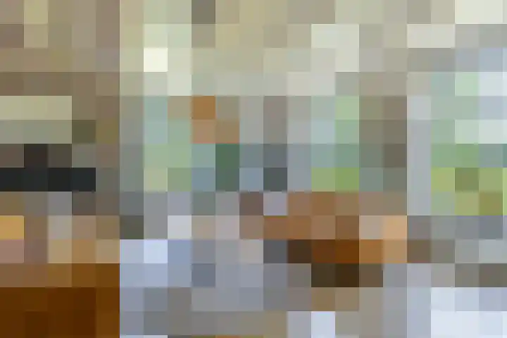 Johannes Durksloane 2 Damwâld thumbnail 24