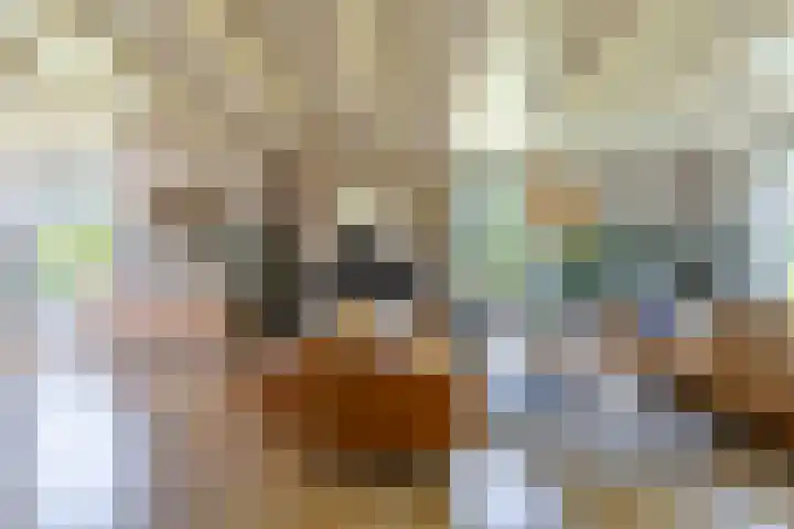 Johannes Durksloane 2 Damwâld thumbnail 25