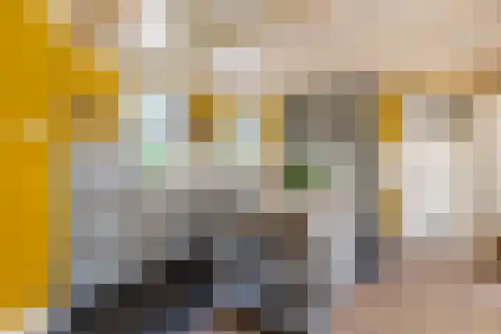 Johannes Durksloane 2 Damwâld thumbnail 28
