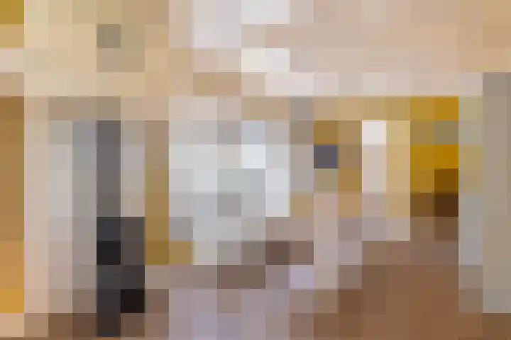Johannes Durksloane 2 Damwâld thumbnail 29