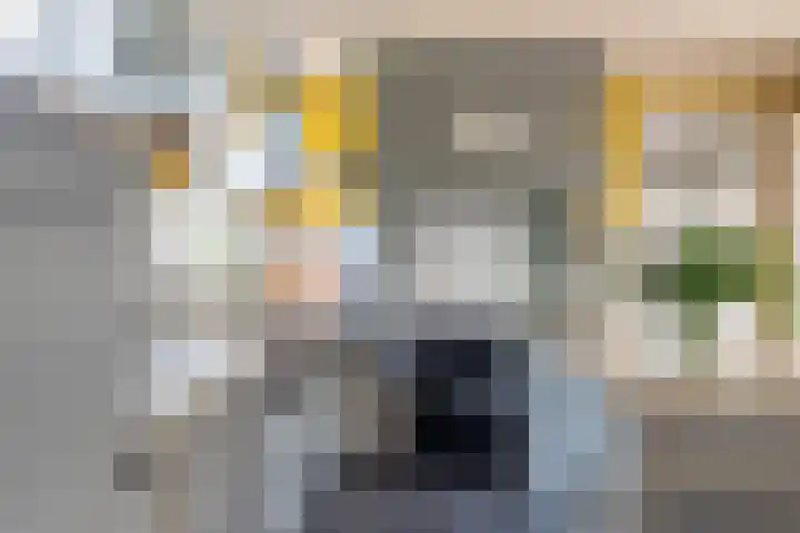 Johannes Durksloane 2 Damwâld thumbnail 32