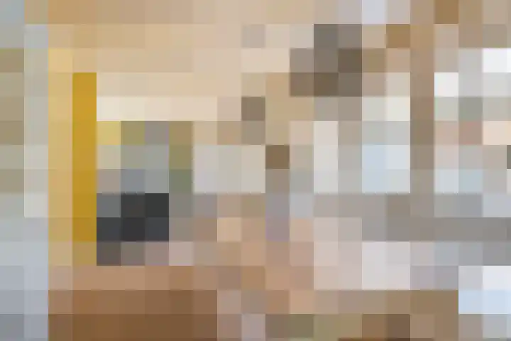 Johannes Durksloane 2 Damwâld thumbnail 34