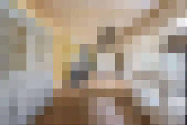 Johannes Durksloane 2 Damwâld thumbnail 35