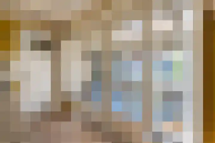 Johannes Durksloane 2 Damwâld thumbnail 36