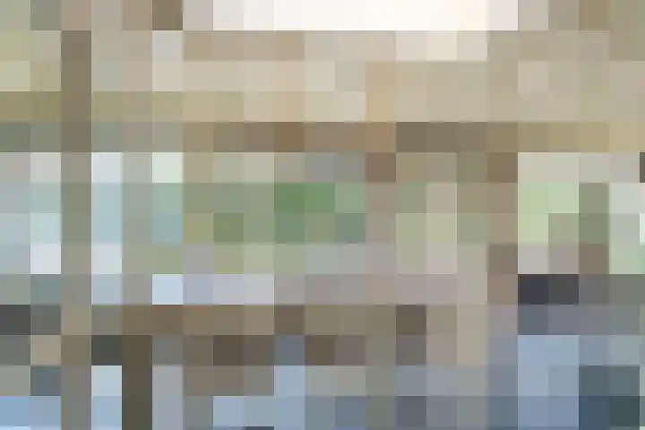 Johannes Durksloane 2 Damwâld thumbnail 37