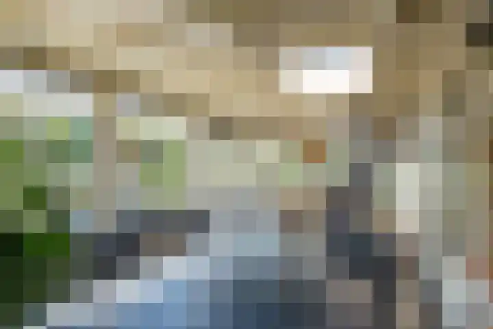 Johannes Durksloane 2 Damwâld thumbnail 38