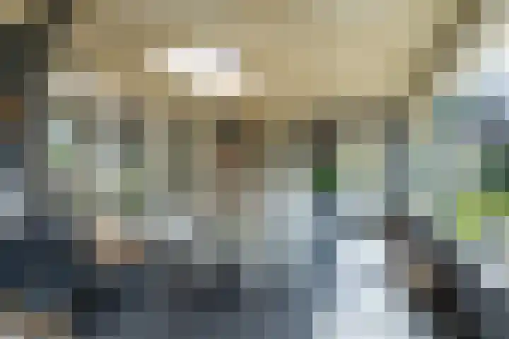 Johannes Durksloane 2 Damwâld thumbnail 39