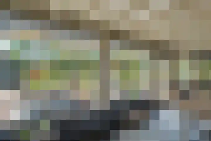 Johannes Durksloane 2 Damwâld thumbnail 40
