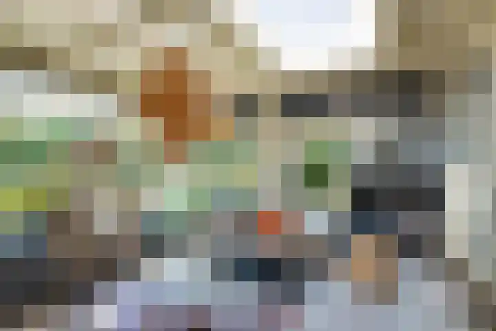 Johannes Durksloane 2 Damwâld thumbnail 43