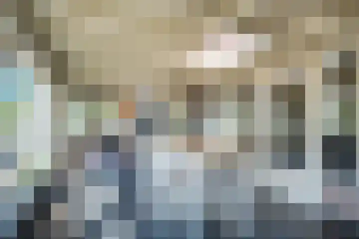 Johannes Durksloane 2 Damwâld thumbnail 44