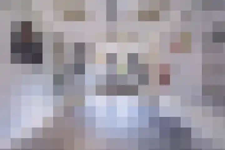Johannes Durksloane 2 Damwâld thumbnail 47