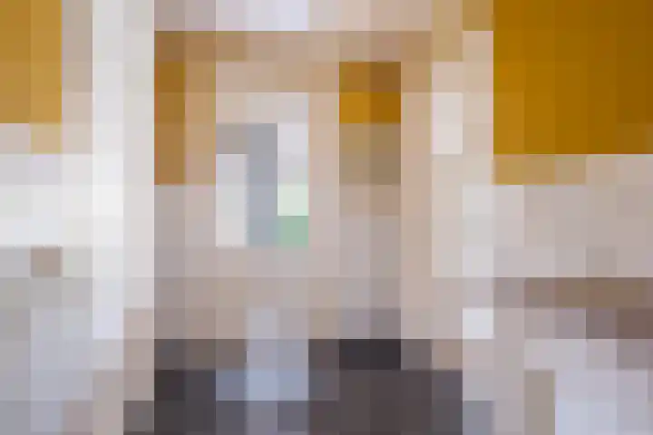 Johannes Durksloane 2 Damwâld thumbnail 49