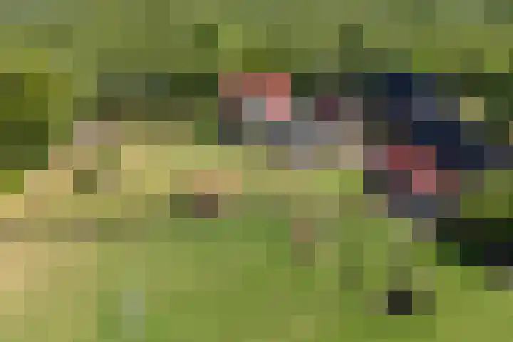 Johannes Durksloane 2 Damwâld thumbnail 5