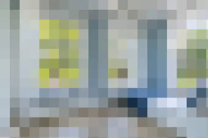 Johannes Durksloane 2 Damwâld thumbnail 54