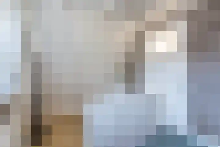 Johannes Durksloane 2 Damwâld thumbnail 57