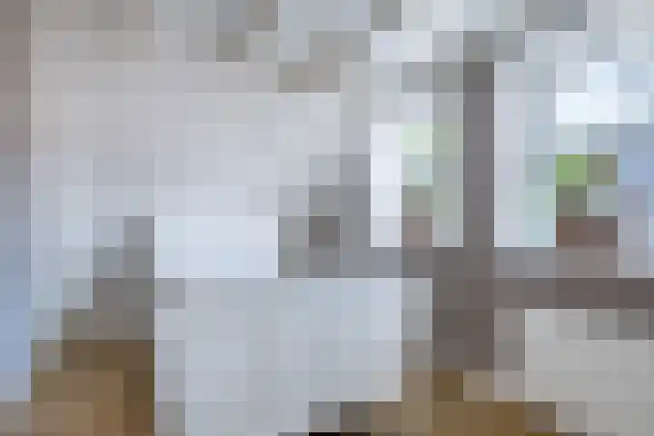 Johannes Durksloane 2 Damwâld thumbnail 58