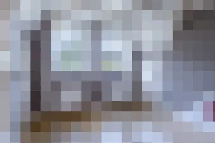 Johannes Durksloane 2 Damwâld thumbnail 59