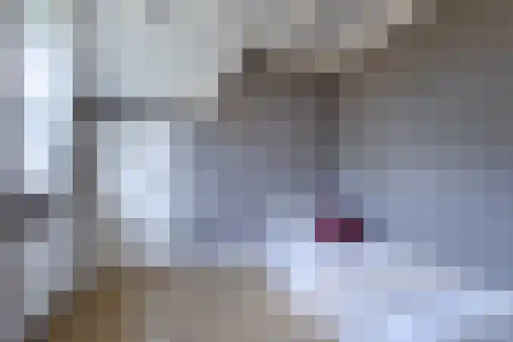 Johannes Durksloane 2 Damwâld thumbnail 61