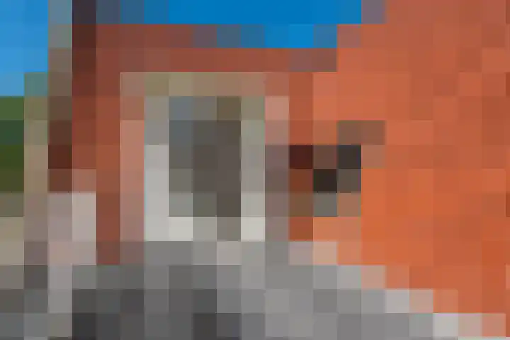 Johannes Durksloane 2 Damwâld thumbnail 62