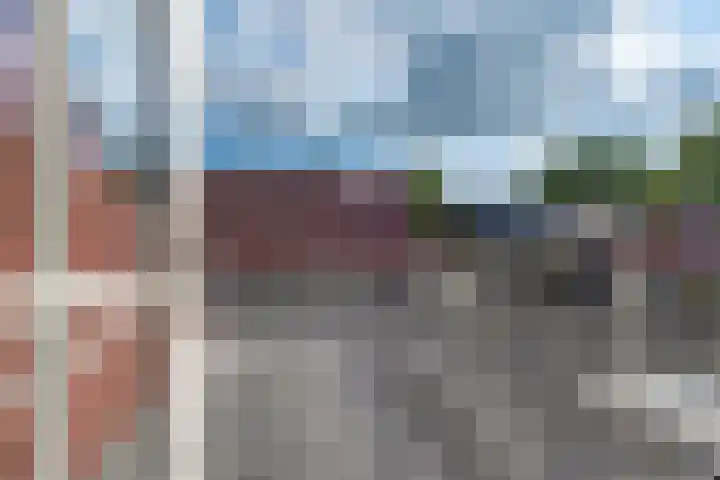 Johannes Durksloane 2 Damwâld thumbnail 63