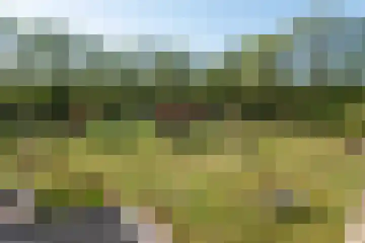 Johannes Durksloane 2 Damwâld thumbnail 64