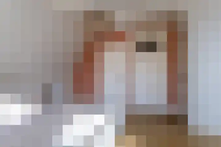 Johannes Durksloane 2 Damwâld thumbnail 67