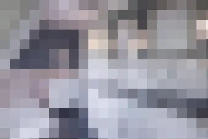 Johannes Durksloane 2 Damwâld thumbnail 70