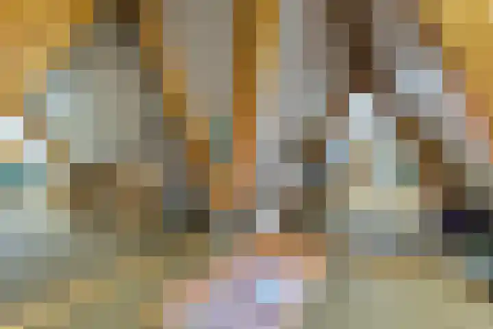 Johannes Durksloane 2 Damwâld thumbnail 77
