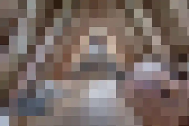 Johannes Durksloane 2 Damwâld thumbnail 79