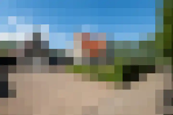 Johannes Durksloane 2 Damwâld thumbnail 8