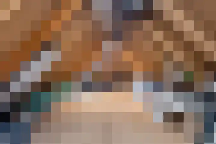 Johannes Durksloane 2 Damwâld thumbnail 80