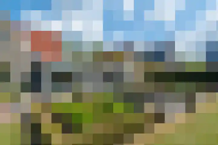 Johannes Durksloane 2 Damwâld thumbnail 82