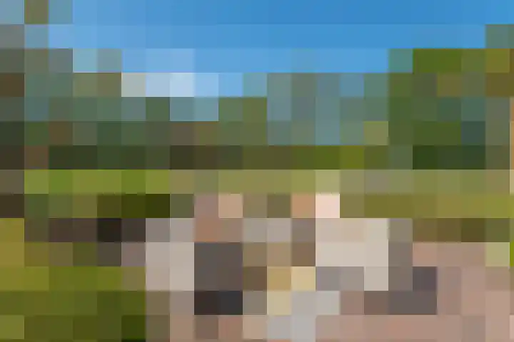 Johannes Durksloane 2 Damwâld thumbnail 84