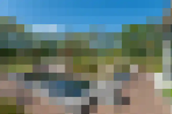 Johannes Durksloane 2 Damwâld thumbnail 85