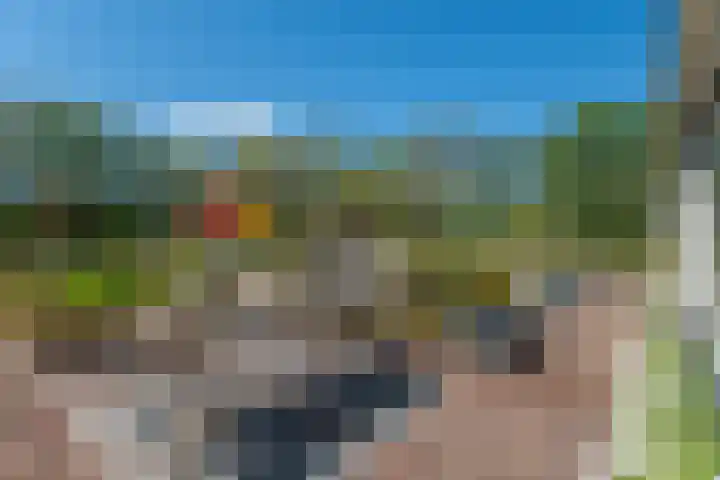 Johannes Durksloane 2 Damwâld thumbnail 86