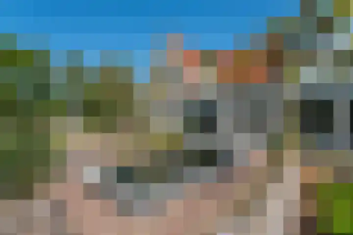 Johannes Durksloane 2 Damwâld thumbnail 87