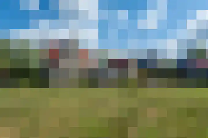 Johannes Durksloane 2 Damwâld thumbnail 88