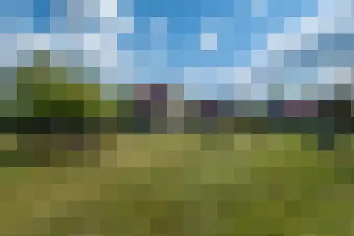 Johannes Durksloane 2 Damwâld thumbnail 89