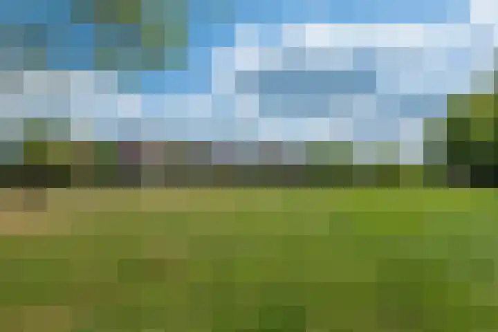 Johannes Durksloane 2 Damwâld thumbnail 90