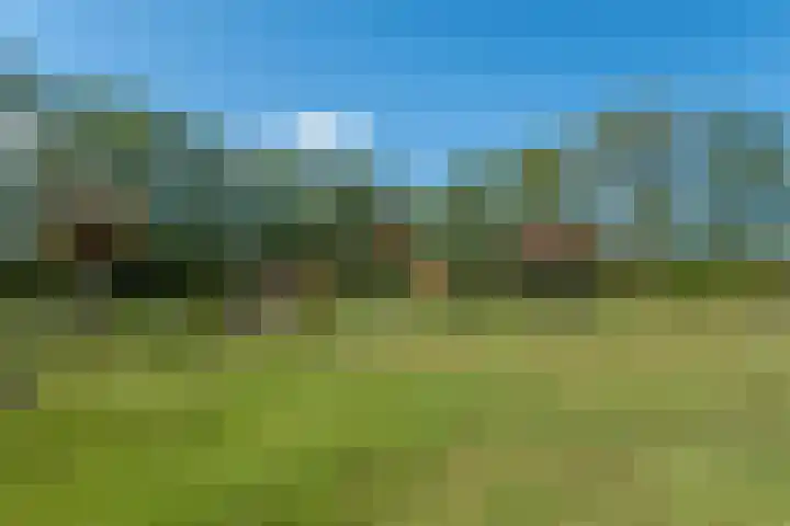 Johannes Durksloane 2 Damwâld thumbnail 92