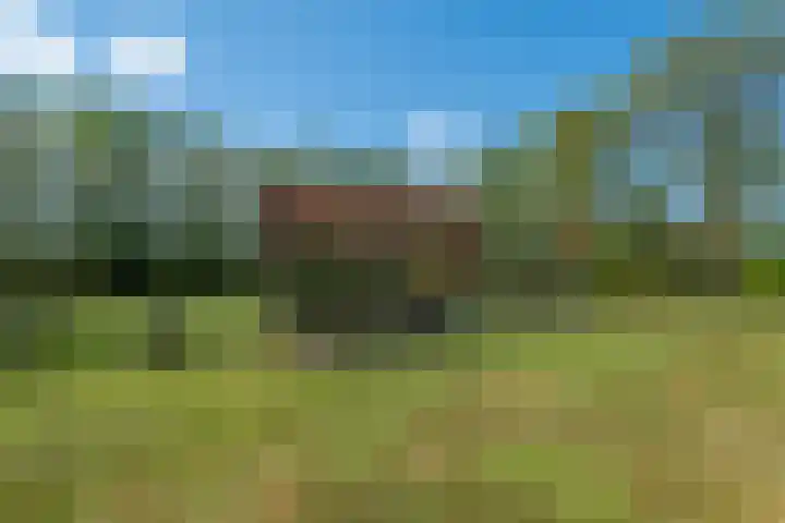 Johannes Durksloane 2 Damwâld thumbnail 93