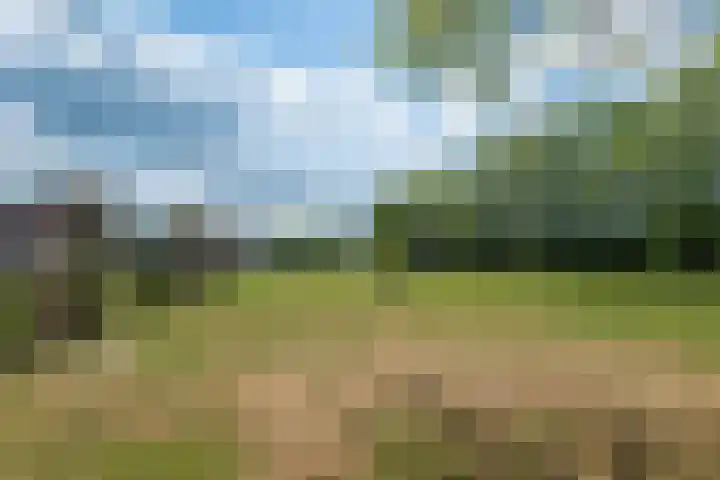 Johannes Durksloane 2 Damwâld thumbnail 94